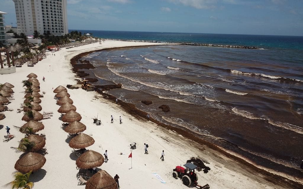 Descubrir Imagen Playas Donde Hay Sargazo Viaterra Mx